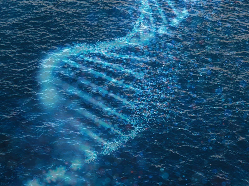 Collecting environmental DNA helps scientists make new discoveries about ocean ecosystems. Image courtesy of ThayerMahan, Inc., Kraken Robotics, and the NOAA Office of Ocean Exploration and Research