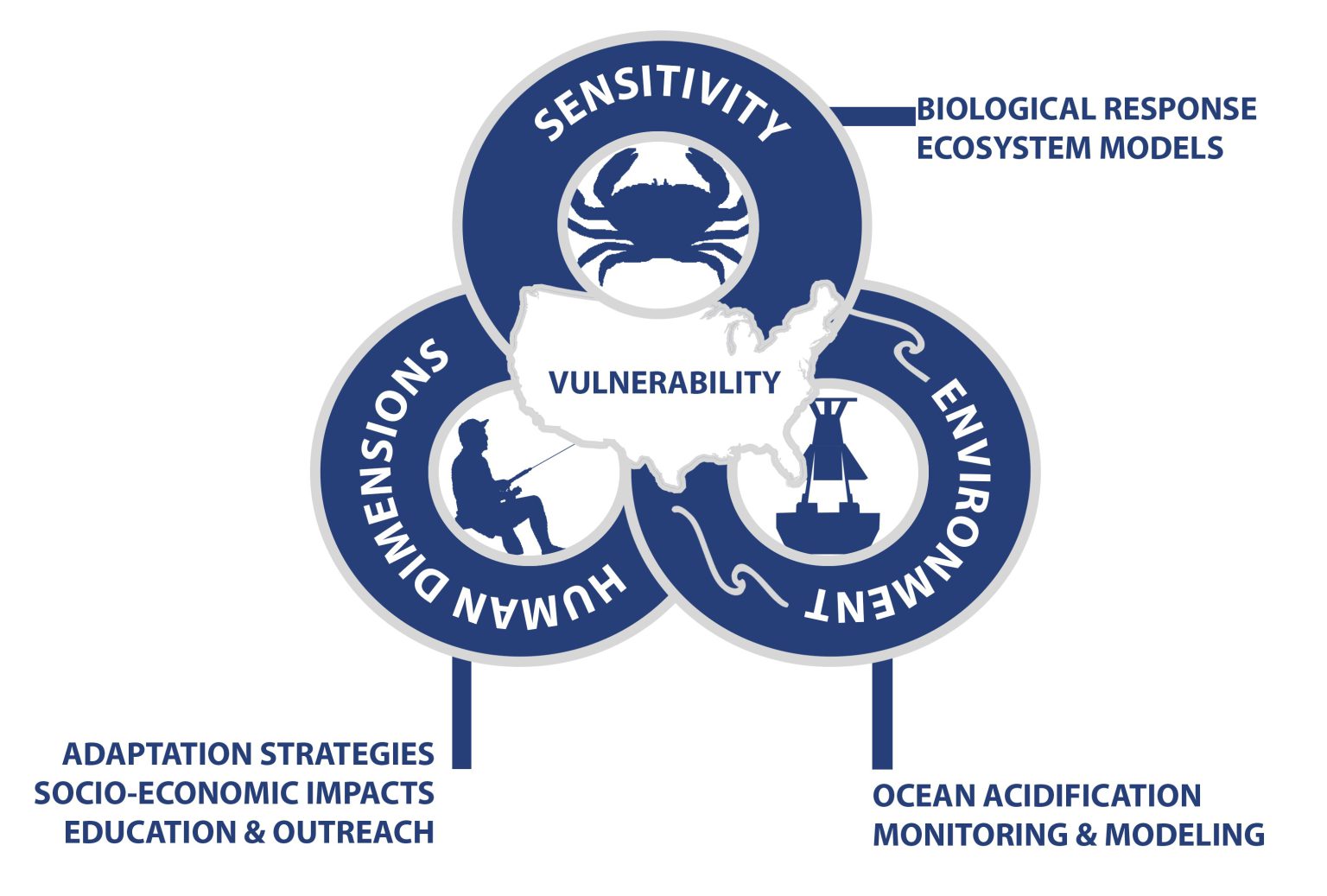 Explainer Ocean Acidification Answer Key