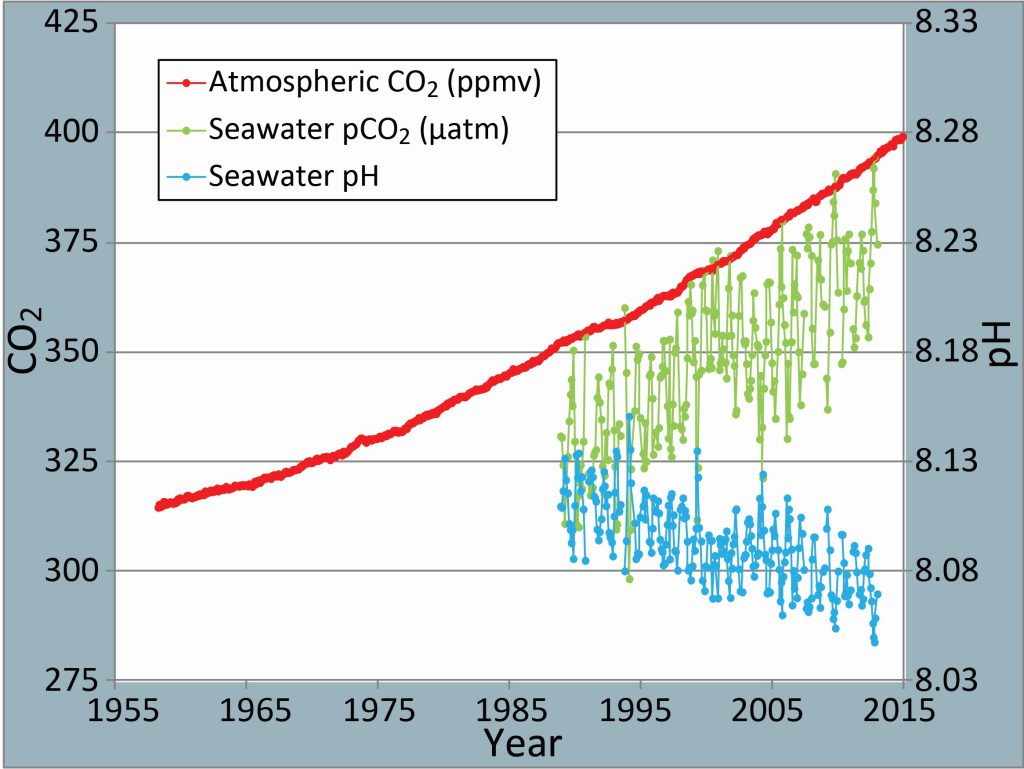 Keeling curve showing increased atmospheric carbon dioxide and CO2 in the ocean, resulting in lower pH, or ocean acidification.