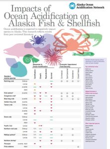 Alaska Ocean Acidification Network's infographic on what species are at risk with ocean acidification.