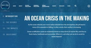 Back to Blue's initiative for ocean acidification webstory (2022)