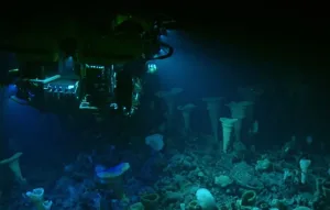 Remotely operated vehicle surveys benthic communities and ocean chemistry. Source: CIOOS Pacific