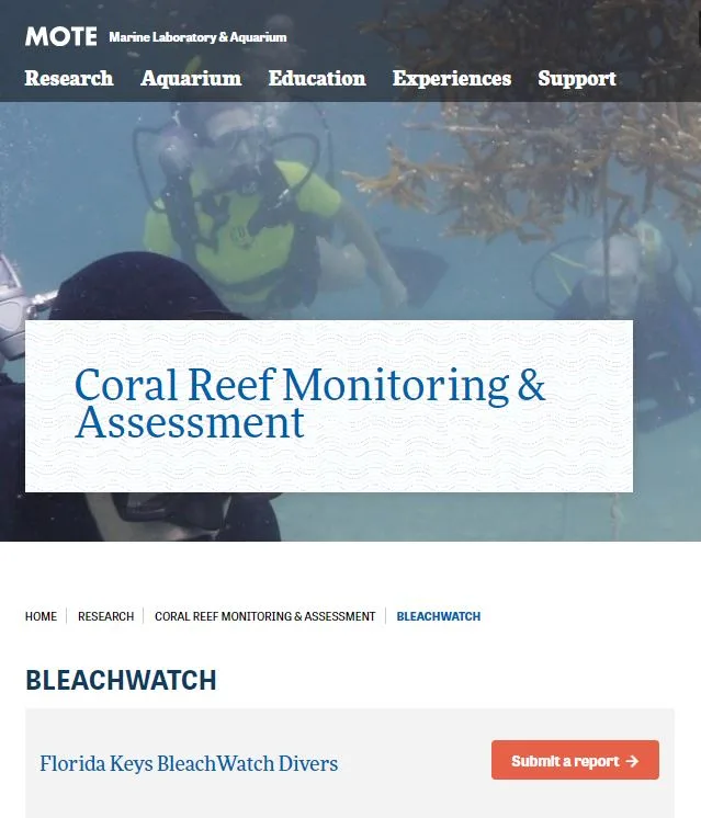 BleachWatch: Coral Reef Monitoring and Assessment from Mote Marine Laboratory