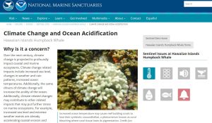 Website with a brief overview of climate change and ocean acidification impacts on Hawaiian Humback whales and their habitsts.