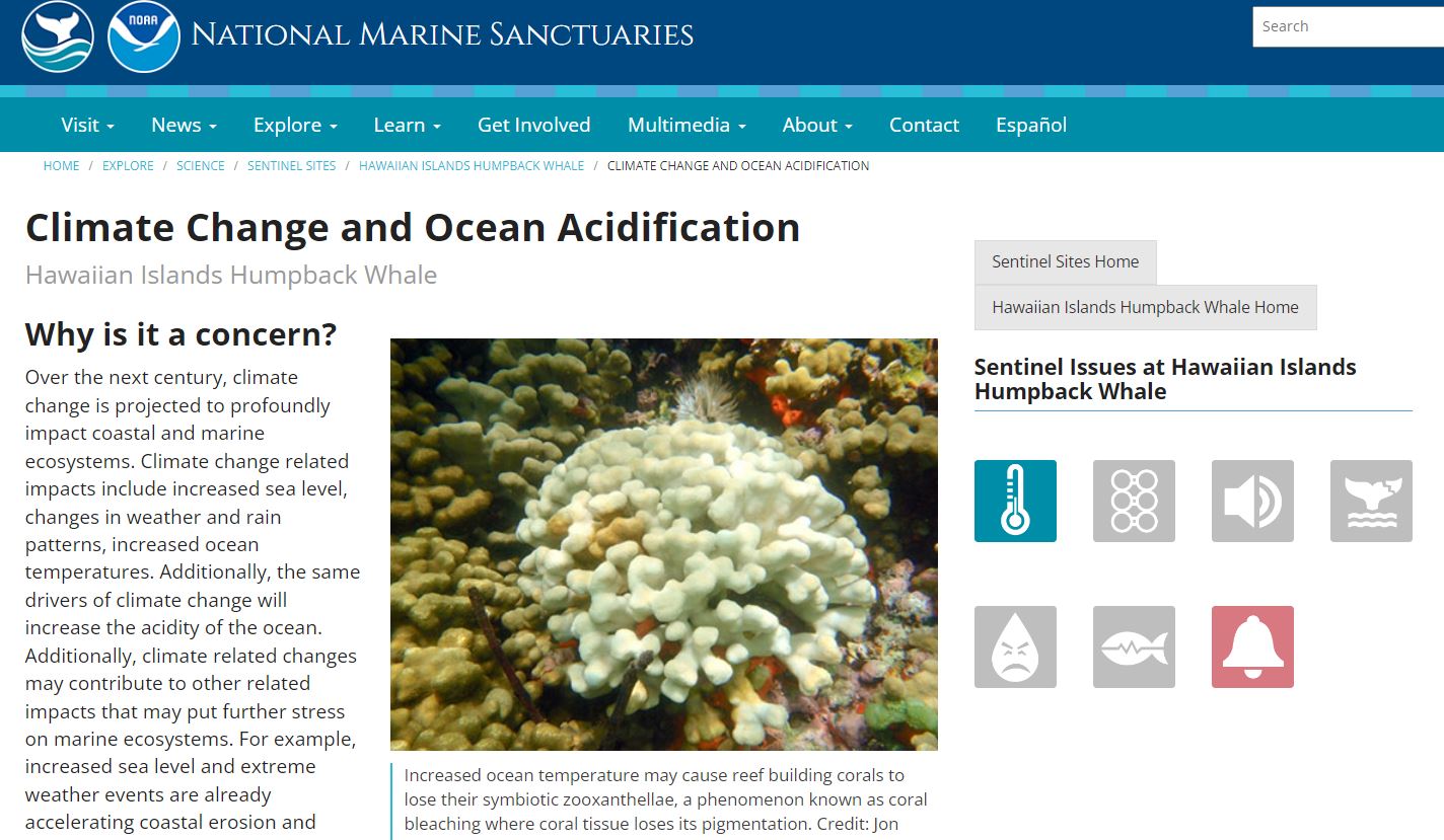 Hawaiian Islands Humpback Whale Ocean Acidification Overview - NOAA ...