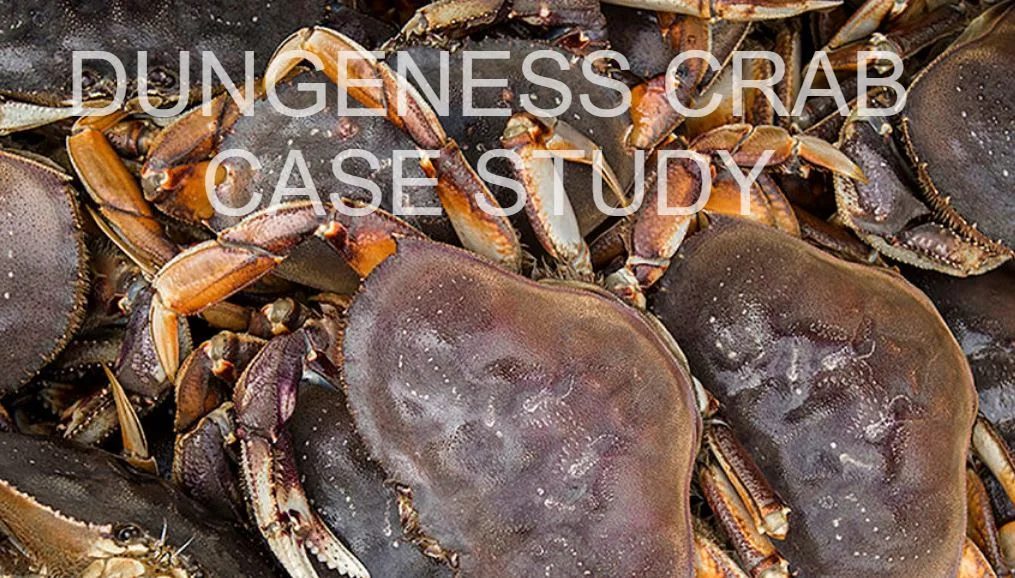 Dungeness crab case study produced by NOAA National Marine Sanctuaries