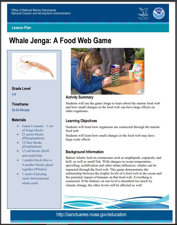 Whale Jenga game is a curriculum activity for 4-8 graders to learn about food web impacts and ocean acidification. Produced by NOAA National Marine Sanctuaries and Ocean Acidification Program in 2022.