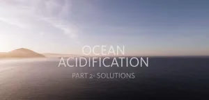 Oregon coastline depicted from video presenting solutions to ocean acidification in Oregon. Image taken from video produced by Oregon State University (https://www.youtube.com/watch?v=2KLT9vFVOmc)