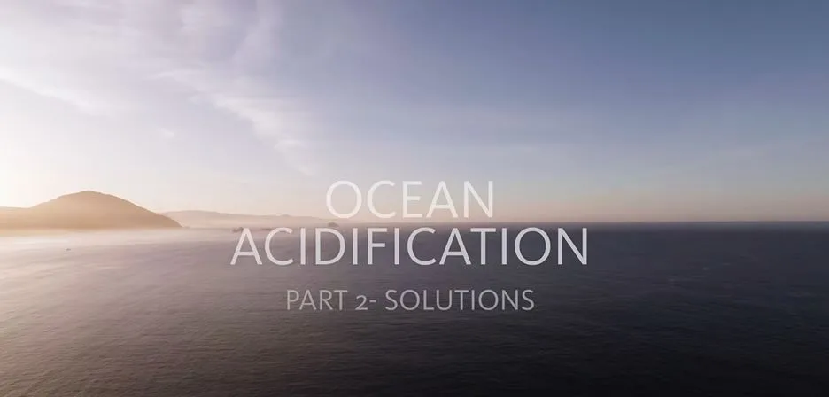 Oregon coastline depicted from video presenting solutions to ocean acidification in Oregon. Image taken from video produced by Oregon State University (https://www.youtube.com/watch?v=2KLT9vFVOmc)