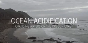 Oregon coastline depicted from video presenting ocean acidification along the Oregon Coast produced by Oregon State University (https://www.youtube.com/watch?v=7h08ok3hFSs&t=80s)
