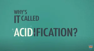 Why is ocean acidification called acidification? Find out in this video by the University of Plymouth (https://www.youtube.com/watch?v=L2bxwnm7JG4)
