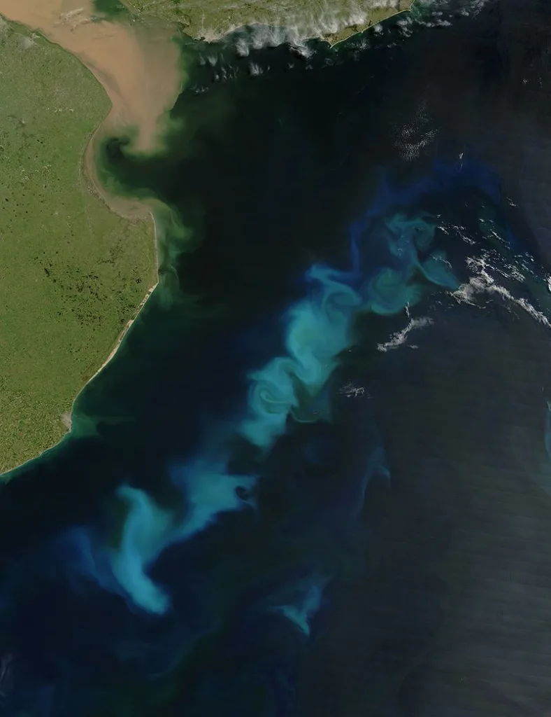Phytoplankton, most likely coccolithophors, in the Atlantic on 15 Feb 2006. Credit: NASA