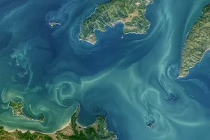 Landsat 8 image of the Shantar Islands and part of Uda Bay in the Western Sea of Okhotsk taken 24 September 2021. Credit: NASA