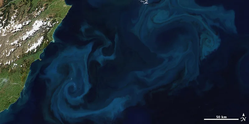 Plankton bloom seen from space. Credit: NASA