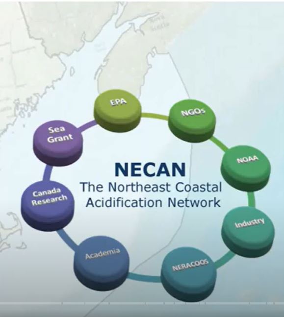Northeast Coastal Acidification Network