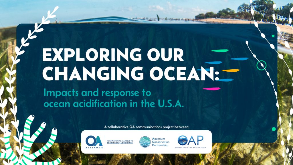 Exploring our changing ocean announcement for StoryMaps about regional ocean acidification causes, impacts and actions. This is part of the OA Day of Action and released by NOAA OAP, Aquarium Conservation Partnership, and OA Alliance (2024). Title with graphic ocean and marine vegetation and life in the image. Credit: OA Alliance