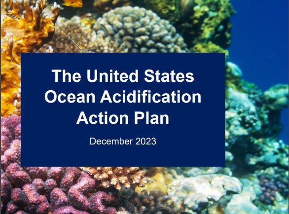 A vibrant coral reef is the background for the United States Ocean Acidification Action Plan, released December 10, 2023 at COP28