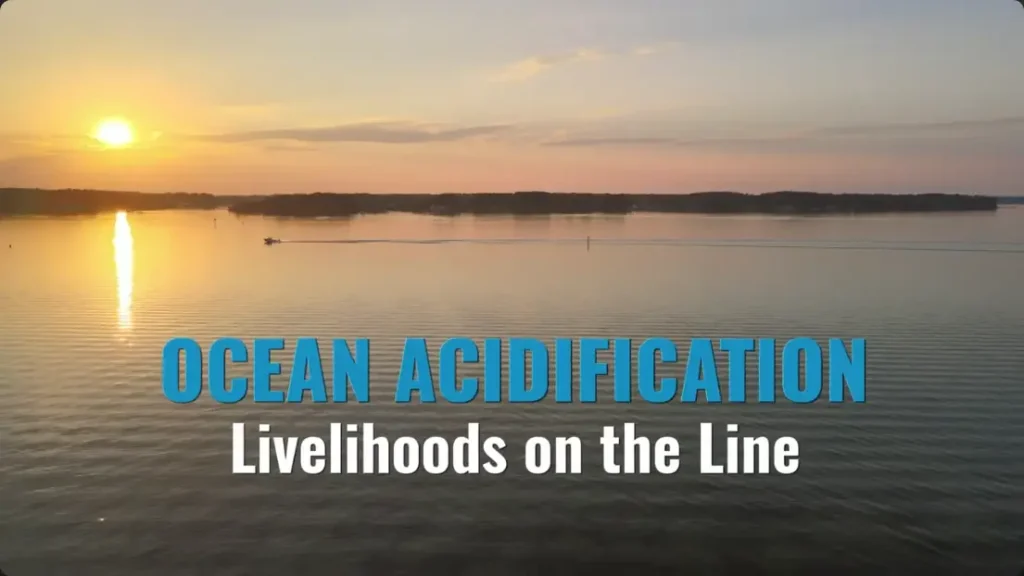 Video Thumbnail for OA Livelihoods on the Line