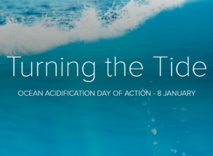 Cover slide of webstory about the Ocean Acidification Day of Action in 2025