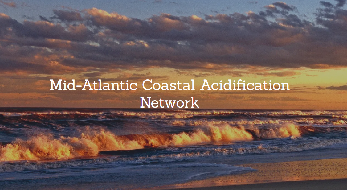 Waves crashing from the left on a beach at sunset with low clouds. The Mid-Atlantic Coastal Acidification Network superimposed on the scene.
