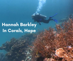 Hannah Barkley In Corals, Hope