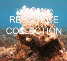 NOAA Sanctuaries Ocean Acidification Resource Collection
